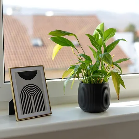 Lägenhet Bright By Interior - Familien App Fuer 4 Personen & Kinderbett - Gartennutzung- Ausblick Zum Herkules - Nahe Ice-bahnhof & Unesco Weltkulturerbe Herkules & Schloss Wilhelmshoehe *