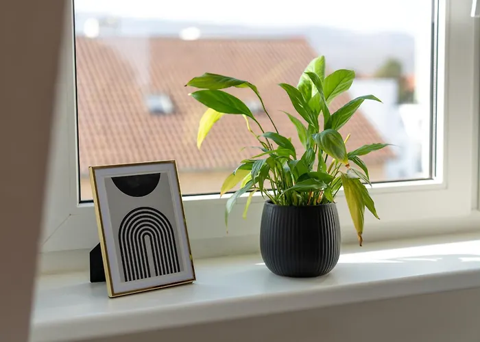 公寓 Bright By Interior - Herkulesblick, Familienzimmer, Garten, Ice Bhf, Zentral *