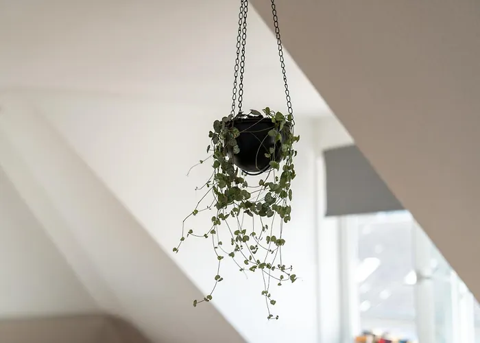 Bright By Interior - Herkulesblick, Familienzimmer, Garten, Ice Bhf, Zentral 卡塞尔